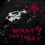What Can I Say? - Single