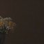 Love, Stasia - EP