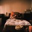 peace of mind - Single