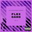 Flex Gang, Vol. 4