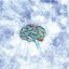 Bad Brain
