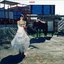 The Dress