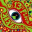 The Psychedelic Sounds Of: The 13th Floor Elevators