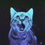 Avatar for Reelashio