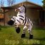 Dope Zebra