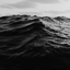 InnerOcean 的头像