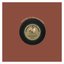 Vintage 78 RPM Records - Pandit Ravi Shankar