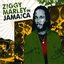 Ziggy Marley In Jamaica