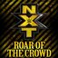 Roar of the Crowd (NXT Theme)