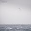 Open Sea