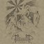 Protheus