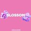 Blossom - Single