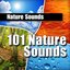 101 Nature Sounds