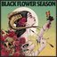 Black Flower Season
