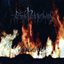 Feuertod / Death in Its Nicest Forms