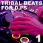 Tribal Beats for DJ's - Vol. 1