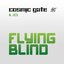 Flying Blind-WEB