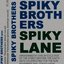 Spiky Lane