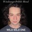 Windswept Pebble Mood / Wild Wild One - Single