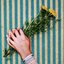 For You