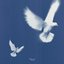Tenderly - Single