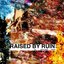 raised by ruin