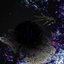 Void of Reason