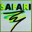 Safari - Single