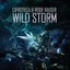 Wild Storm