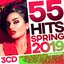 55 Hits Spring 2019