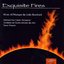 Exquisite Fires