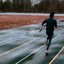 Track & Field - Single