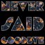 Never Said Goodbye - Single