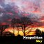 Neapolitan Sky - Single