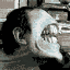 Avatar for nzkrcf