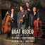 The Goat Rodeo Sessions