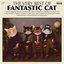 The Very Best of Fantastic Cat (feat. Anthony D'Amato, Don DiLego, Brian Dunne & Mike Montali)
