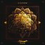 Plexus EP - EP