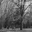Harsh Noise Tempête