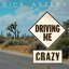 Driving Me Crazy (Edit) - Single