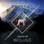 Dance of Wolves - Single