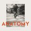 Anatomy