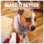 Make It Better - Single