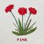Fine - Single