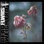 Deadflowers [Explicit]