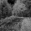 Project Witchfield