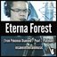 Eterna Forest