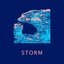 Storm - Single