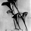 Avatar for Daetian-