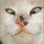 Avatar for morpheus2000